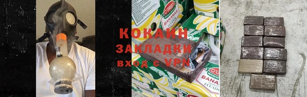 сатива Белокуриха