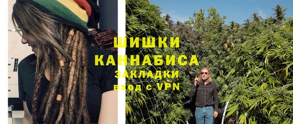 сатива Белокуриха