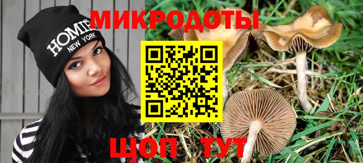 Псилоцибиновые грибы MAGIC MUSHROOMS  Вход с VPN  Кунгур 