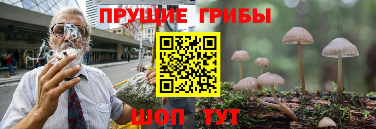 Канабис  Alpha-PVP СОЛЬ кристаллы  Кокаин  ГАШ  Мефедрон кристаллы  Кунгур  МДМА  Конопля  Вход с VPN 