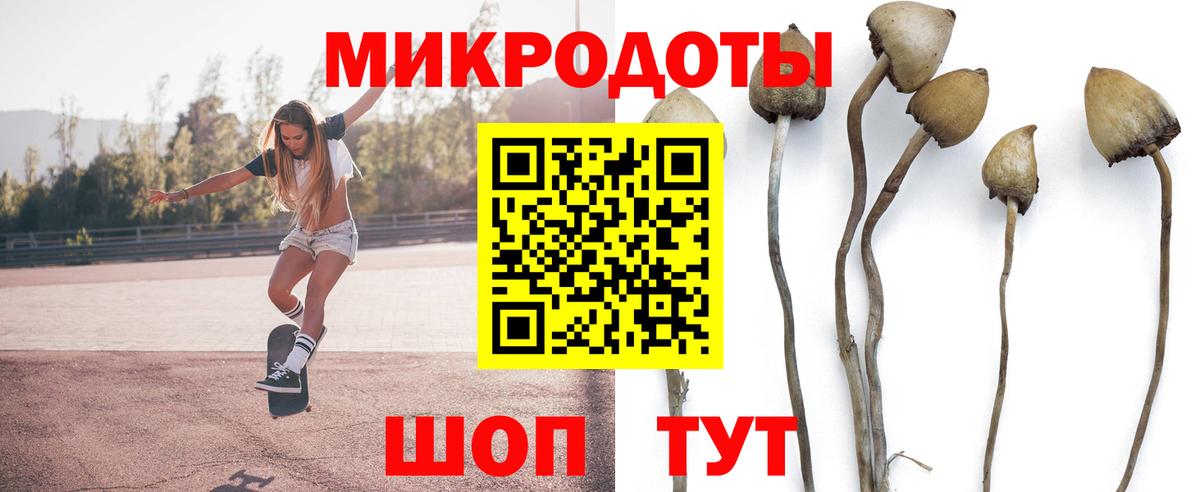 Псилоцибиновые грибы Cubensis Кунгур